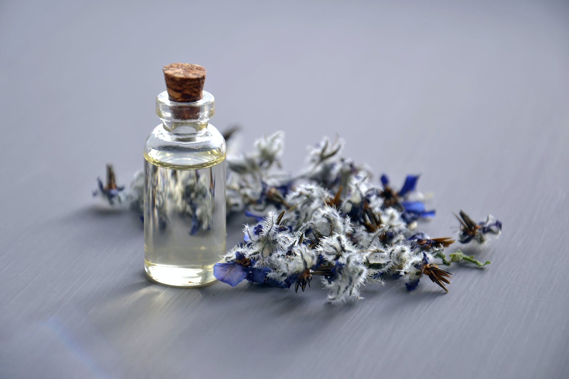 The Ultimate Guide to Cruelty-Free Perfumes article image